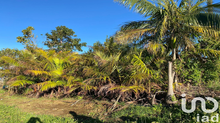 Ma-Cabane - Vente Maison Les Avirons, 90 m²