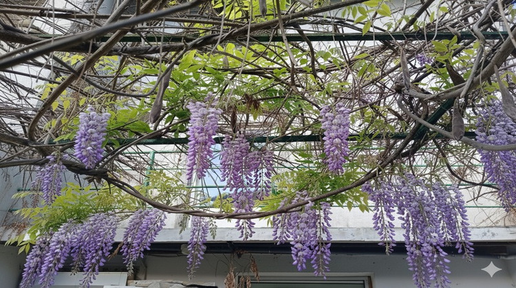Ma-Cabane - Vente Maison LES CABANNES, 120 m²