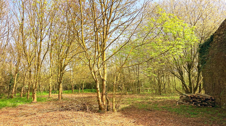 Ma-Cabane - Vente Maison LES LUCS SUR BOULOGNE, 2018 m²