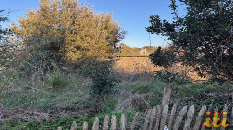 Ma-Cabane - Vente Maison Les Sables-d'Olonne, 156 m²