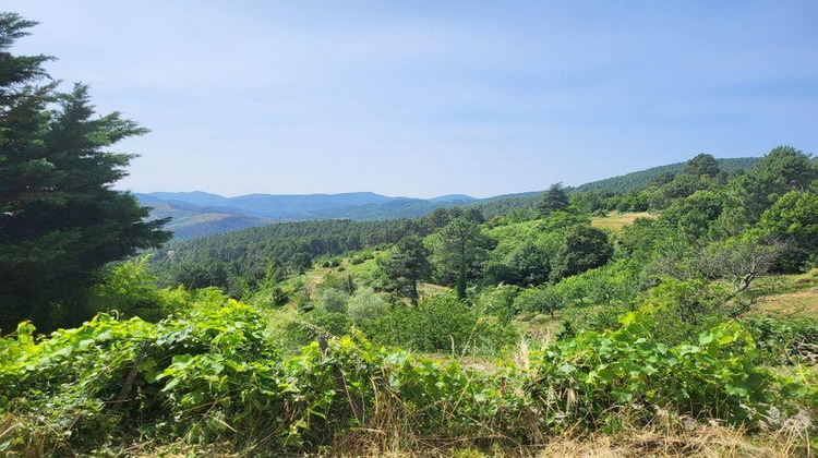 Ma-Cabane - Vente Maison LES VANS, 160 m²