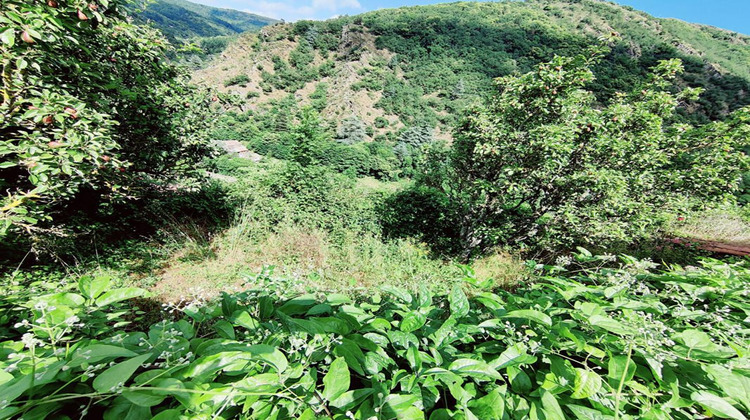 Ma-Cabane - Vente Maison LESPINASSIERE, 96 m²