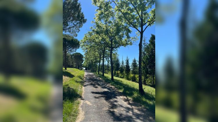 Ma-Cabane - Vente Maison Lévignac, 300 m²