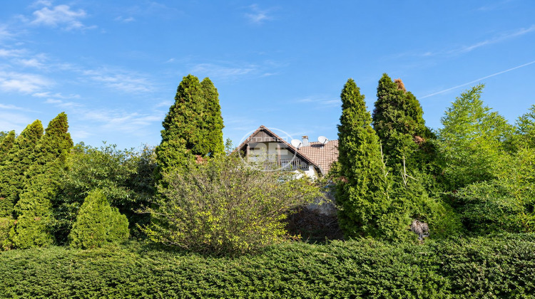 Ma-Cabane - Vente Maison Liebenswiller, 148 m²