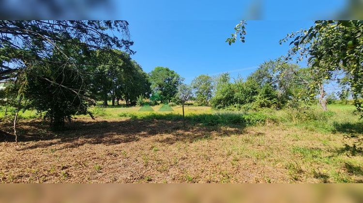 Ma-Cabane - Vente Maison Liebsdorf, 140 m²