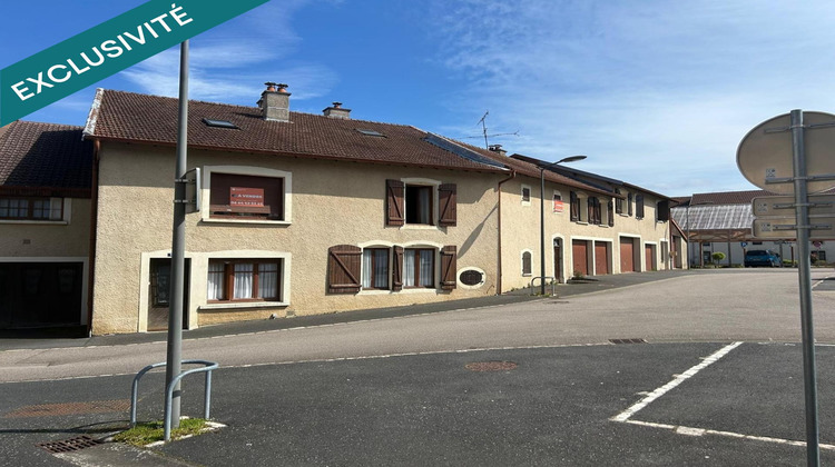 Ma-Cabane - Vente Maison Liffol-le-Grand, 450 m²