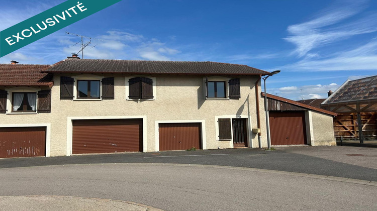 Ma-Cabane - Vente Maison Liffol-le-Grand, 450 m²