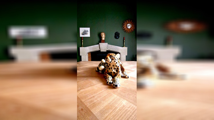 Ma-Cabane - Vente Maison LIGNAN SUR ORB, 264 m²