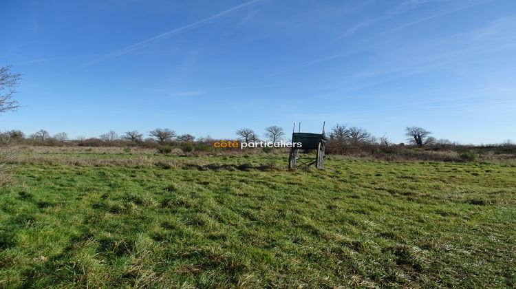 Ma-Cabane - Vente Maison Lignières, 186 m²