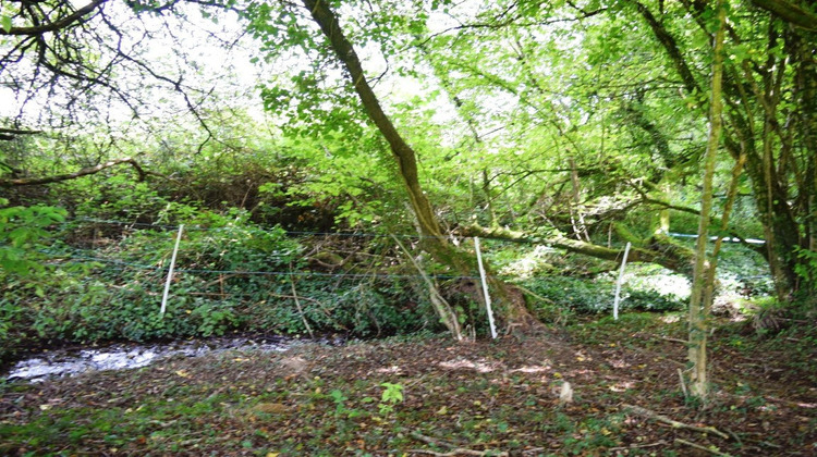 Ma-Cabane - Vente Maison LIGNOL, 116 m²