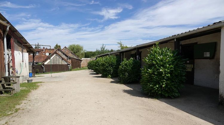 Ma-Cabane - Vente Maison LIGNY LE RIBAULT, 167 m²