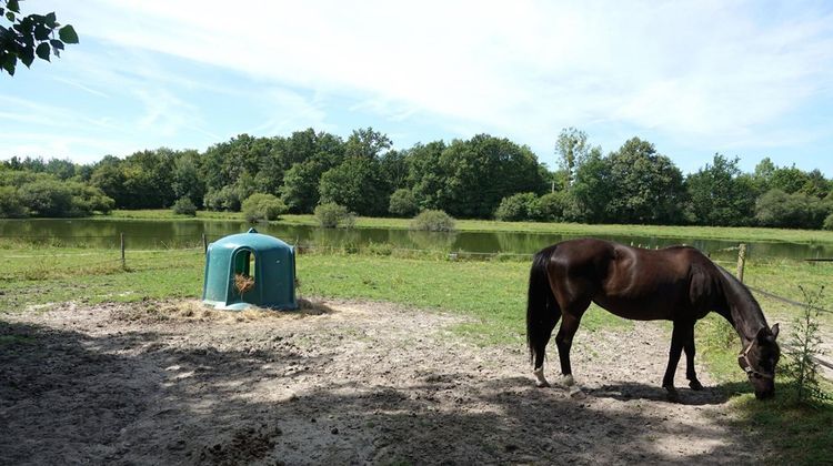 Ma-Cabane - Vente Maison LIGNY LE RIBAULT, 167 m²