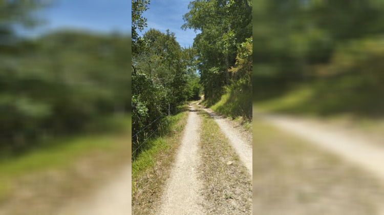 Ma-Cabane - Vente Maison LIMOUX, 419 m²