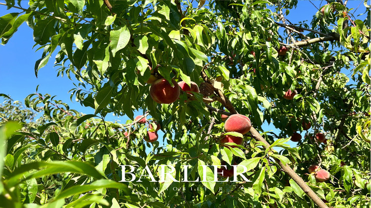 Ma-Cabane - Vente Maison Lingolsheim, 146 m²