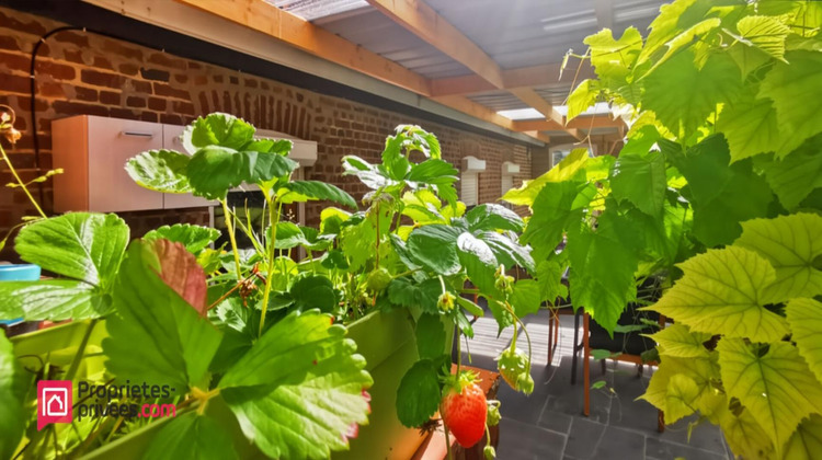 Ma-Cabane - Vente Maison LINZEUX, 227 m²