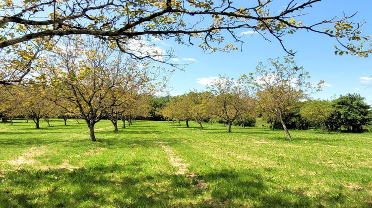 Ma-Cabane - Vente Maison LISSAC ET MOURET, 319 m²