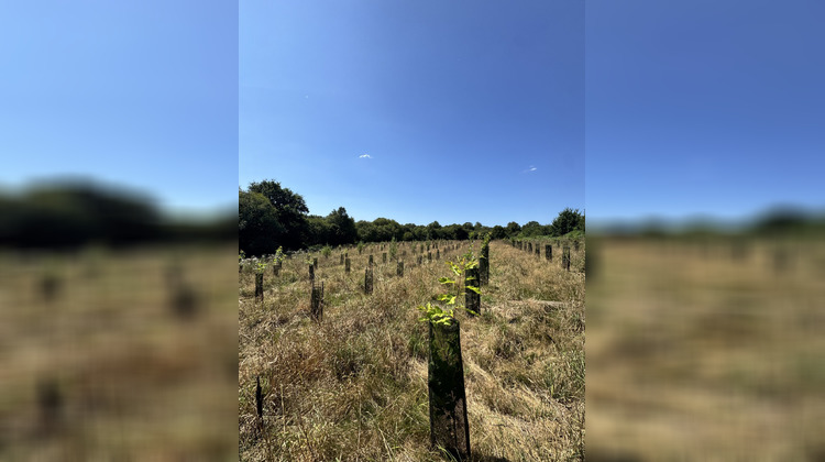 Ma-Cabane - Vente Maison Loguivy-Plougras, 114 m²