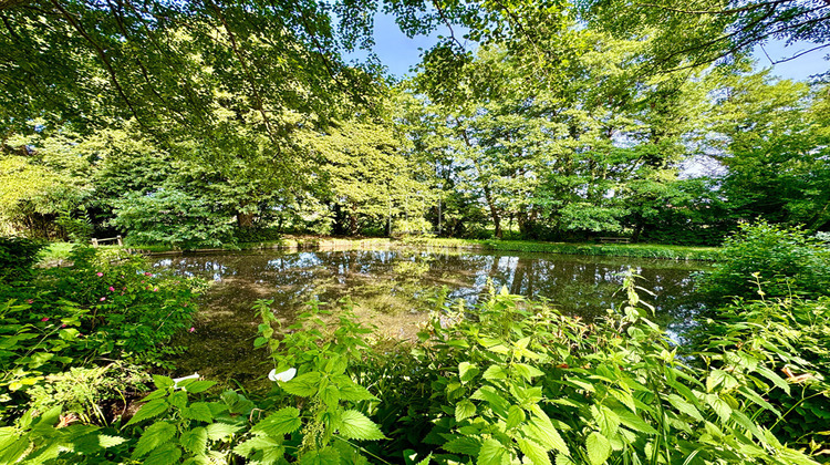 Ma-Cabane - Vente Maison LOMBRON, 230 m²