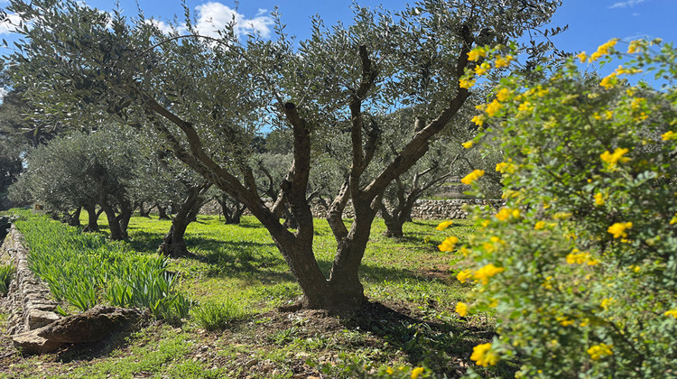 Ma-Cabane - Vente Maison LORGUES, 146 m²
