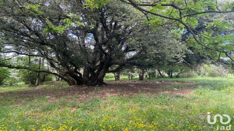 Ma-Cabane - Vente Maison Lorgues, 220 m²