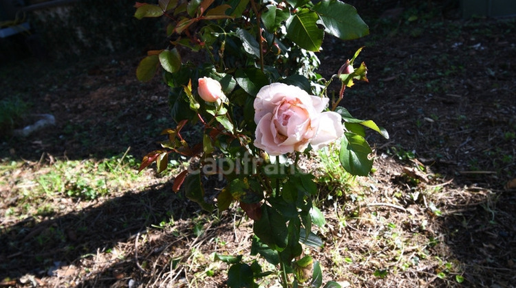 Ma-Cabane - Vente Maison LORMES, 109 m²