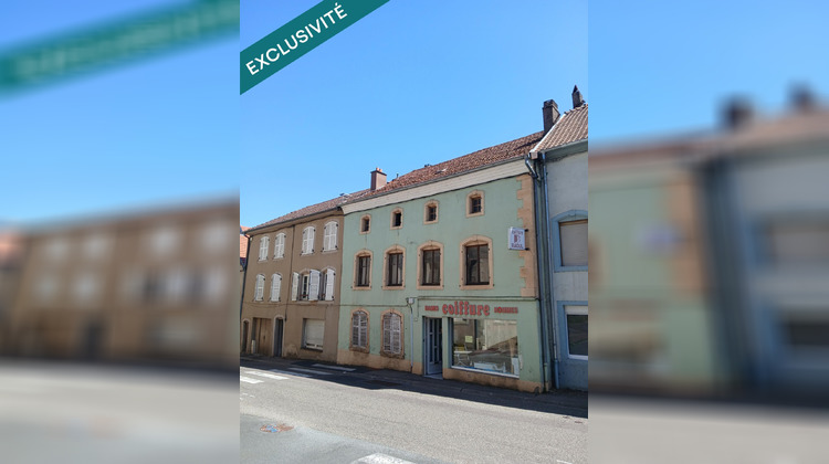 Ma-Cabane - Vente Maison Lorquin, 240 m²