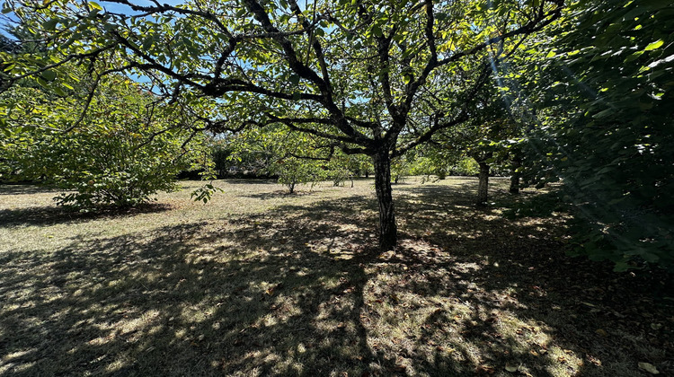 Ma-Cabane - Vente Maison Loubes bernac, 173 m²