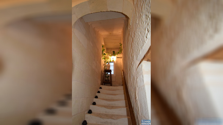 Ma-Cabane - Vente Maison Loudun, 309 m²