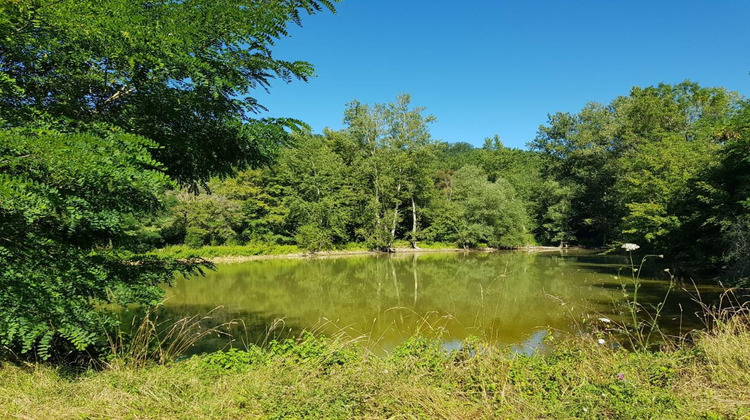 Ma-Cabane - Vente Maison LUSIGNAN PETIT, 445 m²