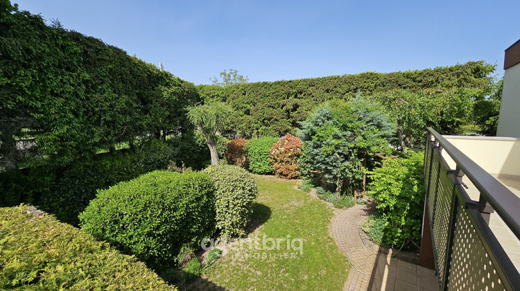 Ma-Cabane - Vente Maison Lutterbach, 172 m²