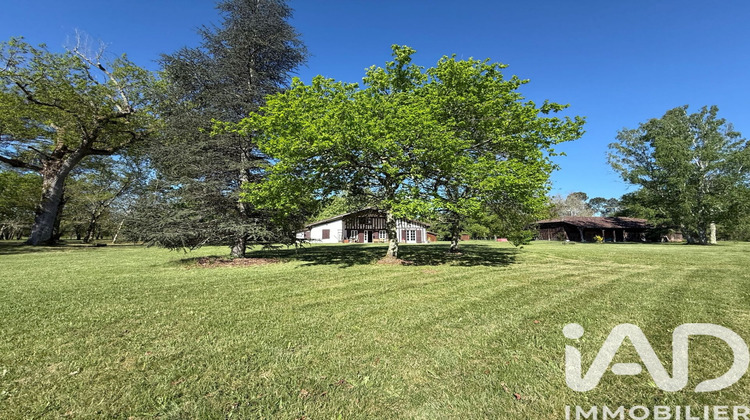 Ma-Cabane - Vente Maison Luxey, 170 m²