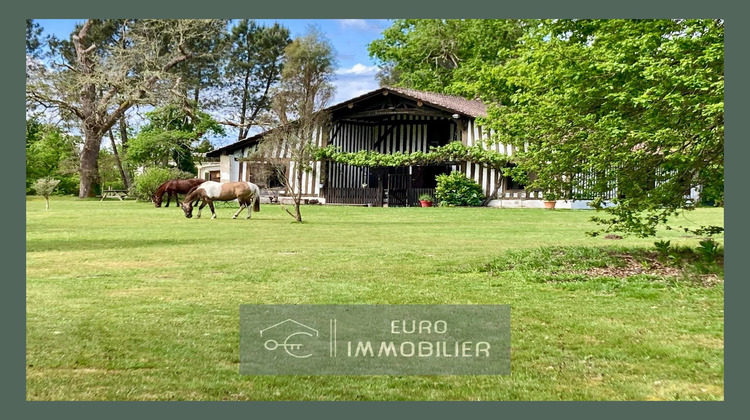Ma-Cabane - Vente Maison Luxey, 220 m²