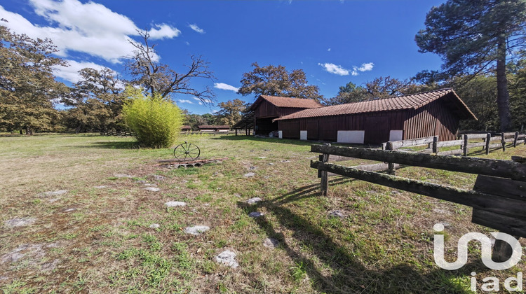 Ma-Cabane - Vente Maison Luxey, 245 m²
