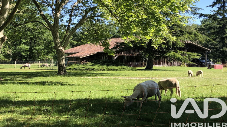 Ma-Cabane - Vente Maison Luxey, 170 m²