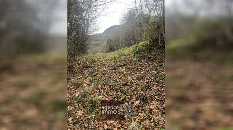 Ma-Cabane - Vente Maison Luz-Saint-Sauveur, 68 m²