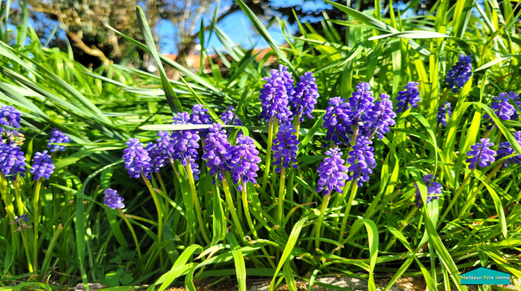 Ma-Cabane - Vente Maison MACHECOUL, 157 m²