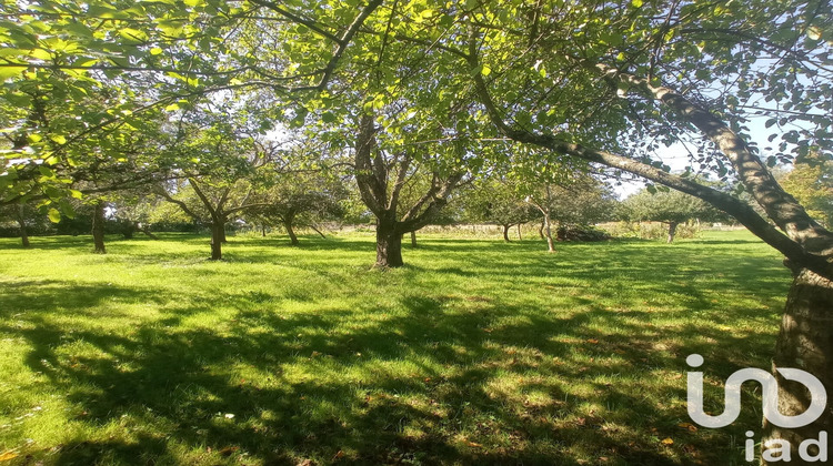 Ma-Cabane - Vente Maison Maconge, 265 m²