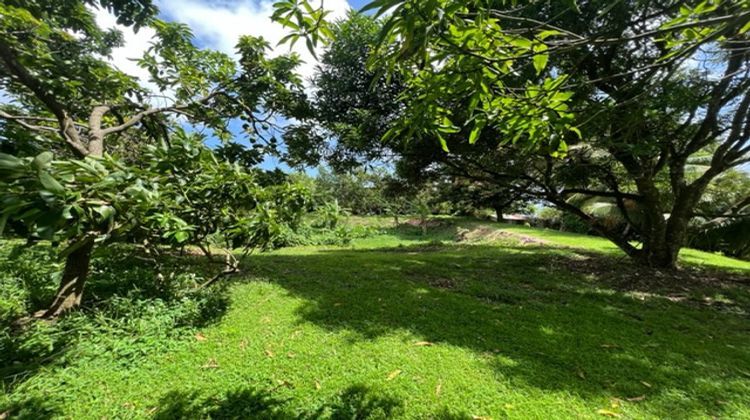 Ma-Cabane - Vente Maison Macouba, 240 m²