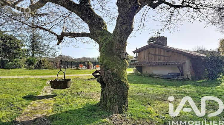 Ma-Cabane - Vente Maison Magescq, 271 m²