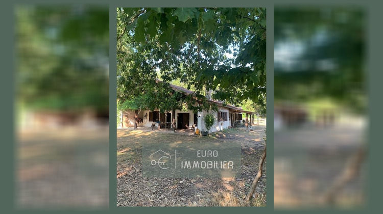 Ma-Cabane - Vente Maison Maillas, 274 m²