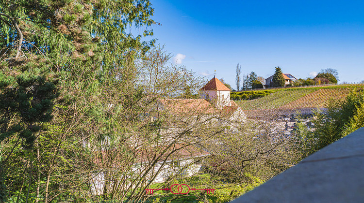Ma-Cabane - Vente Maison MAILLY-CHAMPAGNE, 210 m²
