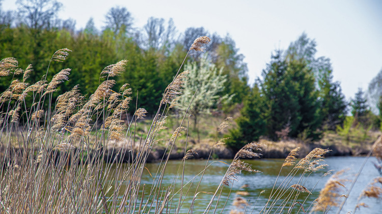 Ma-Cabane - Vente Maison MALBUISSON, 355 m²