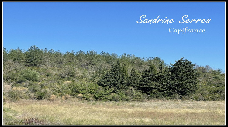 Ma-Cabane - Vente Maison MALVIES, 105 m²