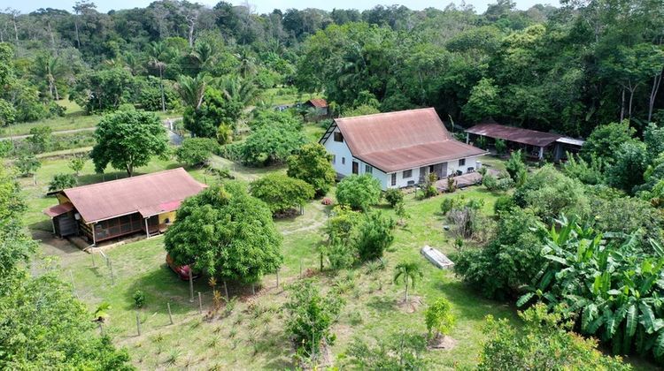 Ma-Cabane - Vente Maison MANA, 330 m²