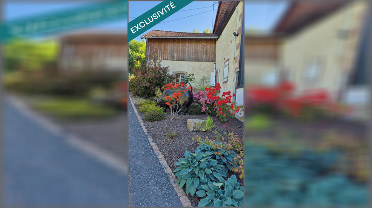Ma-Cabane - Vente Maison Mandray, 298 m²