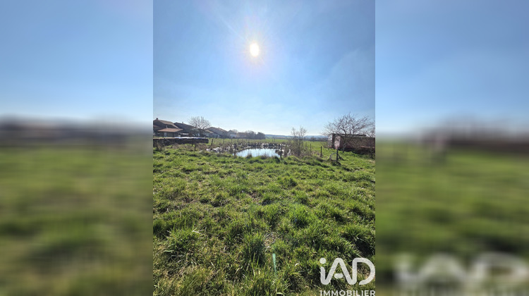 Ma-Cabane - Vente Maison Mangiennes, 239 m²