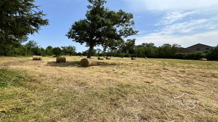 Ma-Cabane - Vente Maison Manre, 180 m²