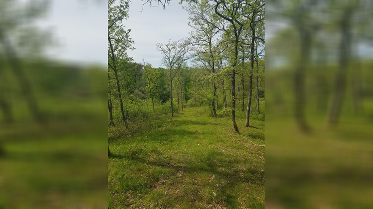 Ma-Cabane - Vente Maison Marciac, 235 m²