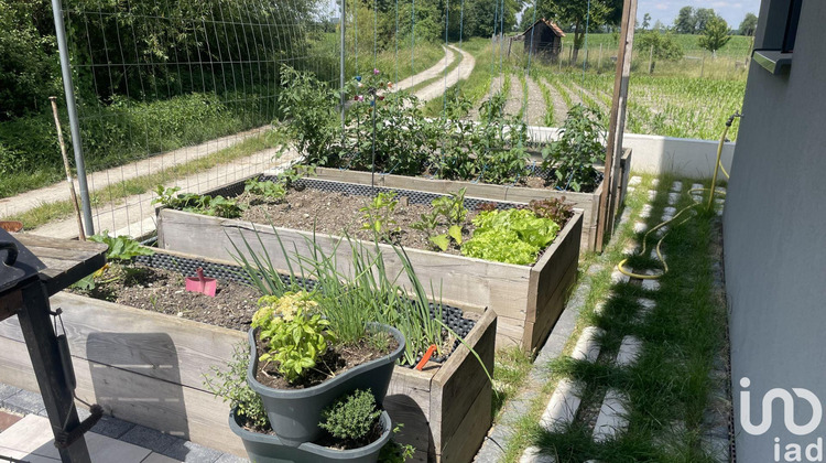 Ma-Cabane - Vente Maison Marckolsheim, 145 m²