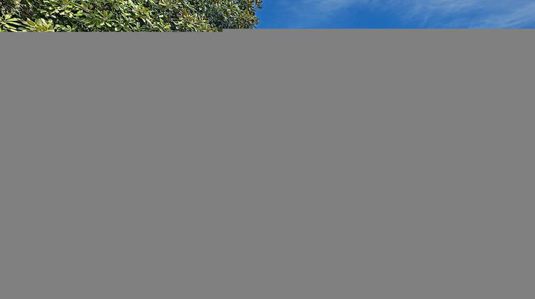 Ma-Cabane - Vente Maison Marcq-en-Baroeul, 164 m²